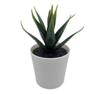 Lade das Bild in den Galerie-Viewer, Dekopflanze