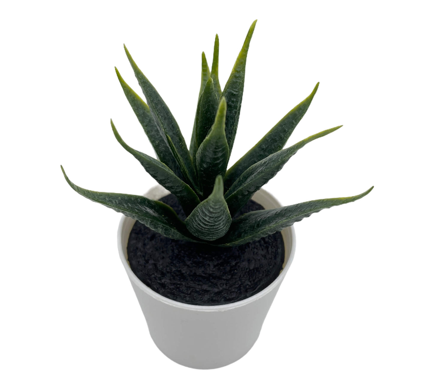 Grüne Dekoblume als modernes Wohnaccessoire für Regal oder Schreibtisch