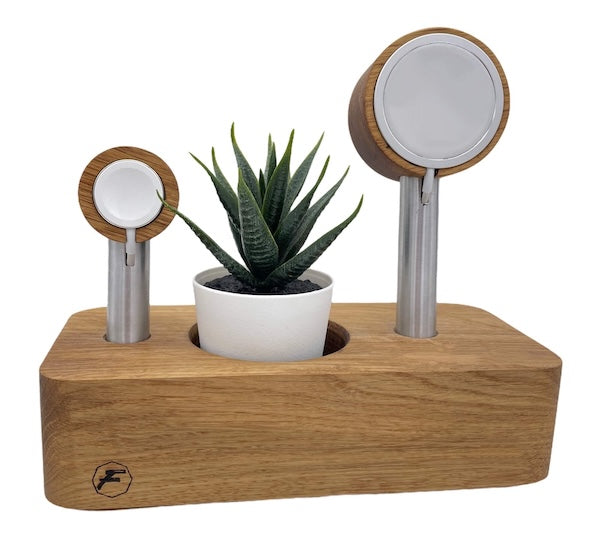 Minimalistische Zimmerdeko ‚Ein bisschen Grün‘ in Kombination mit Naturholz-Elementen