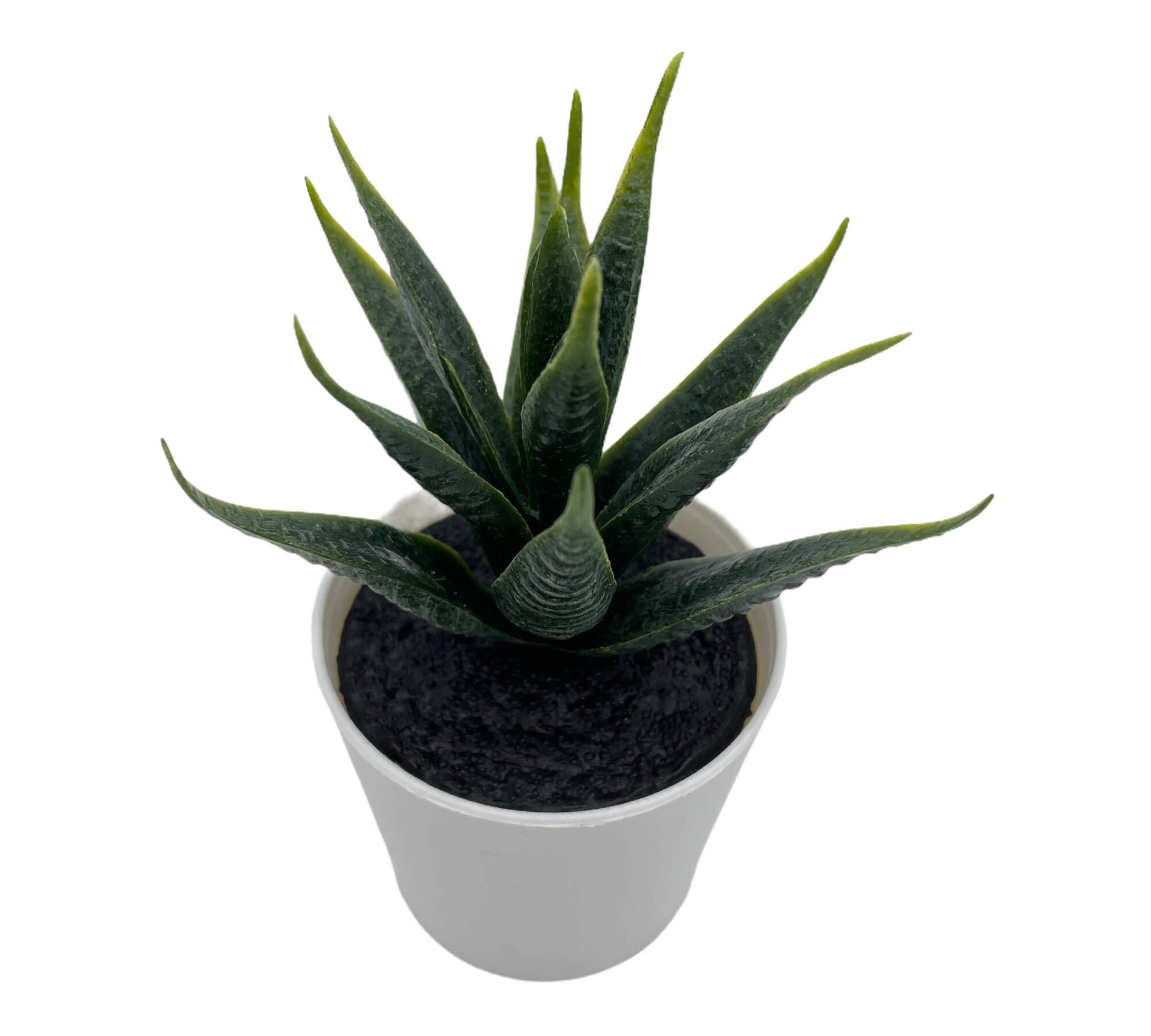 Grüne Dekoblume als modernes Wohnaccessoire für Regal oder Schreibtisch