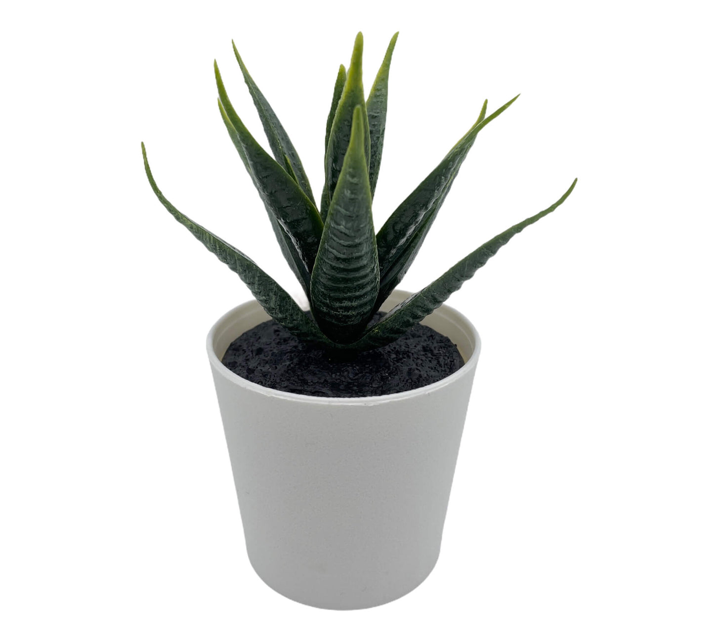 Grüne Dekoblume als modernes Wohnaccessoire für Regal oder Schreibtisch